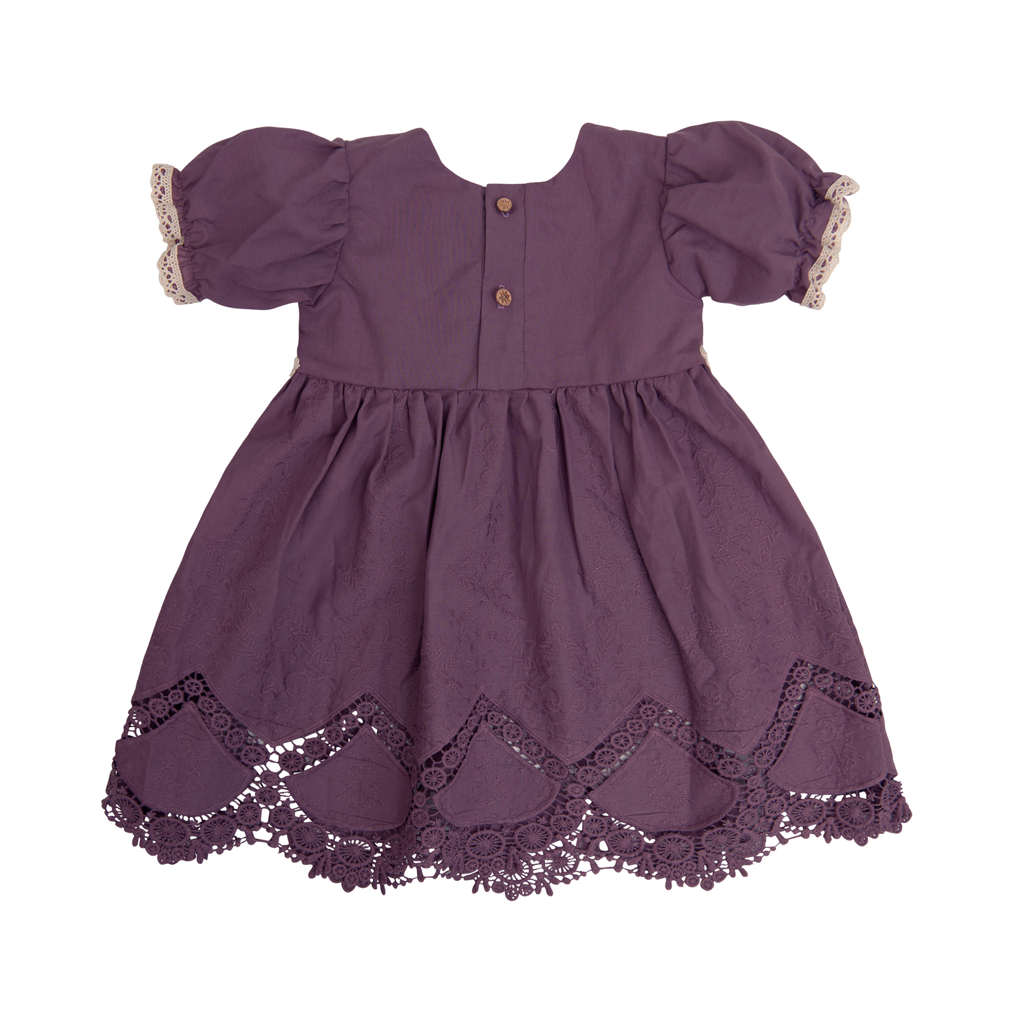 Violet Field Baby Dress_