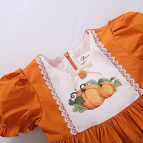 Thankful for Fall! Girls Old-fashion spanish style fall dress